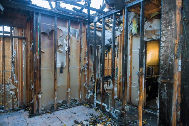 Professional Fire Damage Removal technician working in Mount Ephraim, NJ